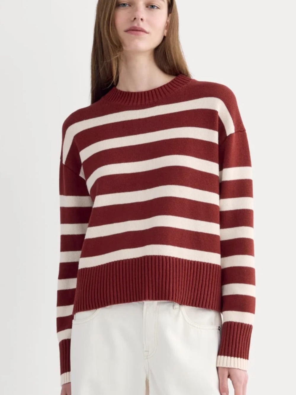 NWT Everlane cotton boxy striped sweater
